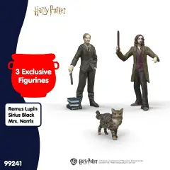 Calendario Dell'Avvento Harry Potter 2026 - addobbi casa