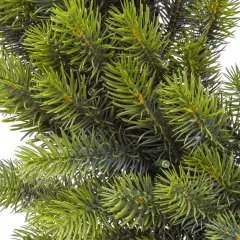 Corona Natalizia Abete Alpino Verde Preilluminata 60 cm con 80 LED - fiori e ghirlande
