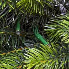 Corona Natalizia Abete Alpino Verde Preilluminata 60 cm con 80 LED - fiori e ghirlande