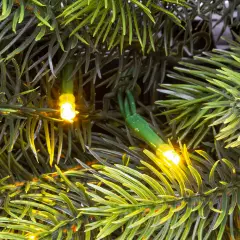 Corona Natalizia Abete Alpino Verde Preilluminata 60 cm con 80 LED - fiori e ghirlande