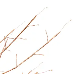 Albero Natalizio TIGLIO Rose Gold 170 cm con 784 MicroLED FlashLED - alberi led di design