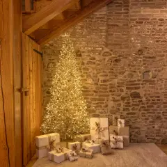 Albero di Natale Conico Champagne 240 cm con 1550 LED Bianco Caldo - alberi led di design