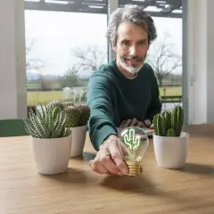 Legami - Bulb Fiction Lampada Da Tavolo A Forma Di Lampadina Cactus - legami