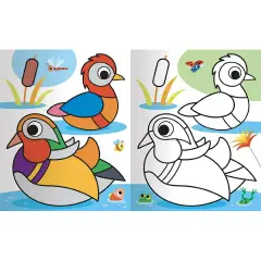 Libro Da Colorare - Animali - Prima biblioteca